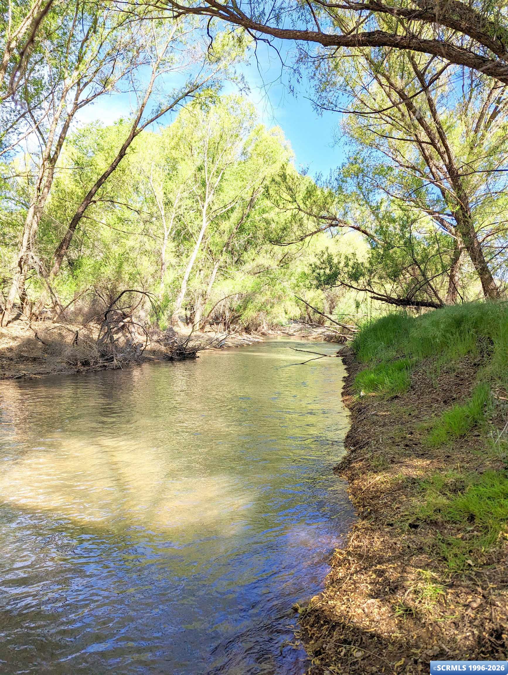 33 Blue Heron, photograph 15