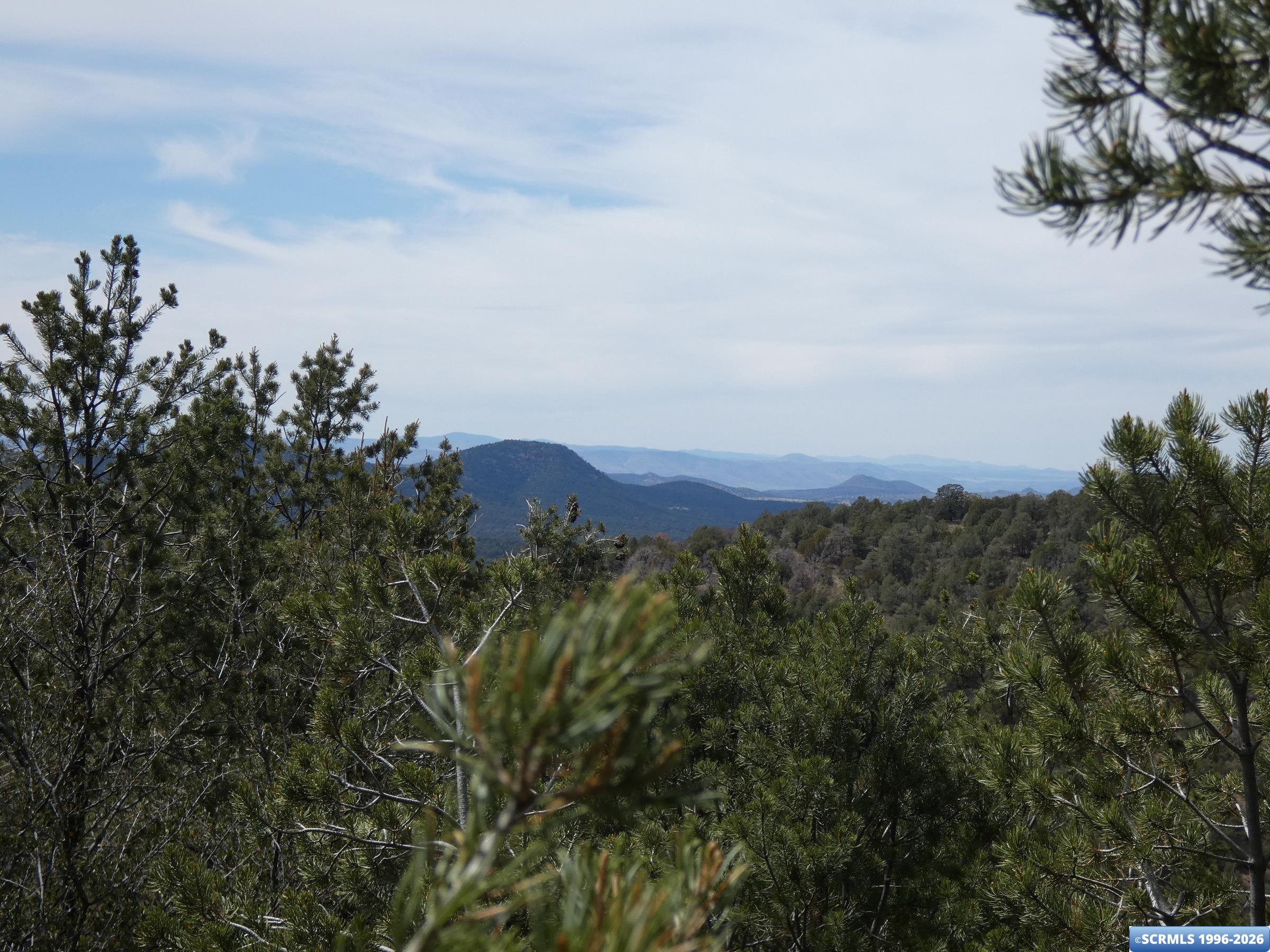 ## Radio Tower Road, Pinos Altos