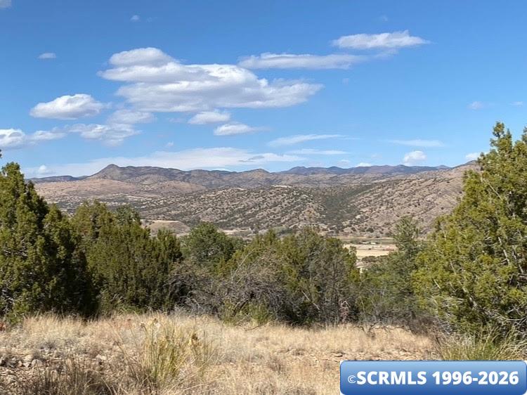 297 Caballo Blanco Street, Mimbres