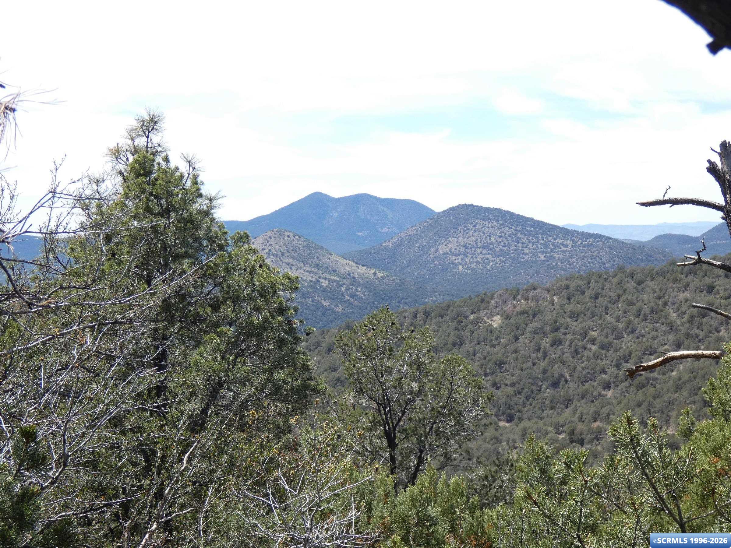 ## Radio Tower Road, photograph 4