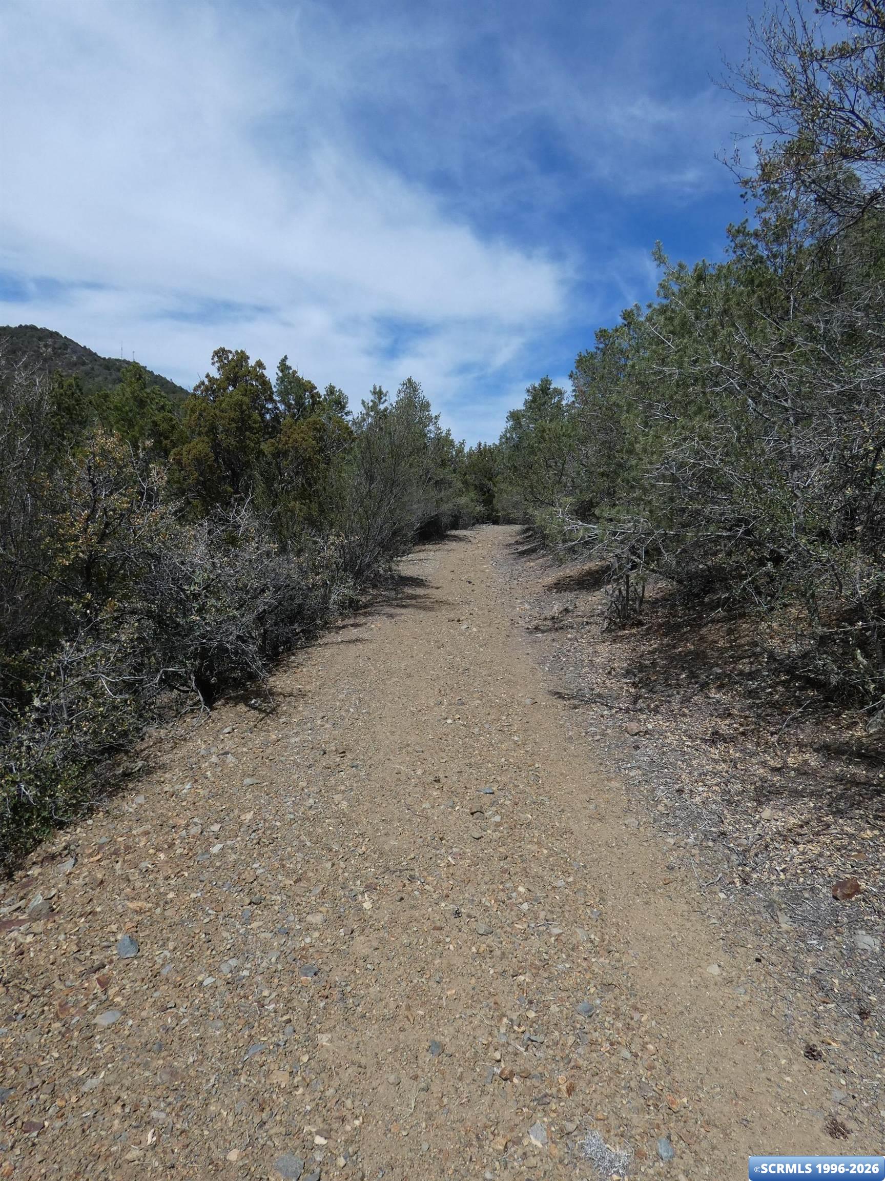 ## Radio Tower Road, photograph 13