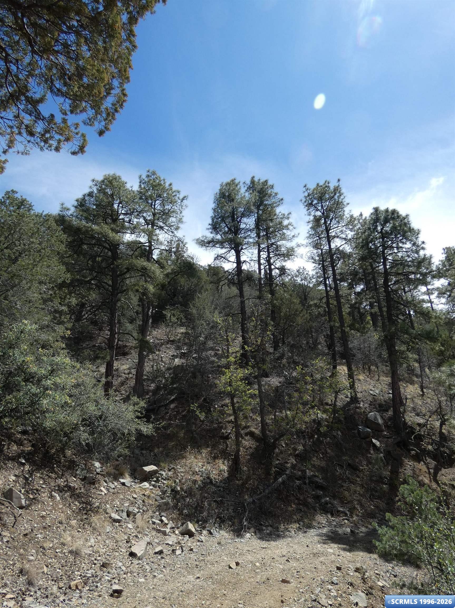 ## Radio Tower Road, photograph 7
