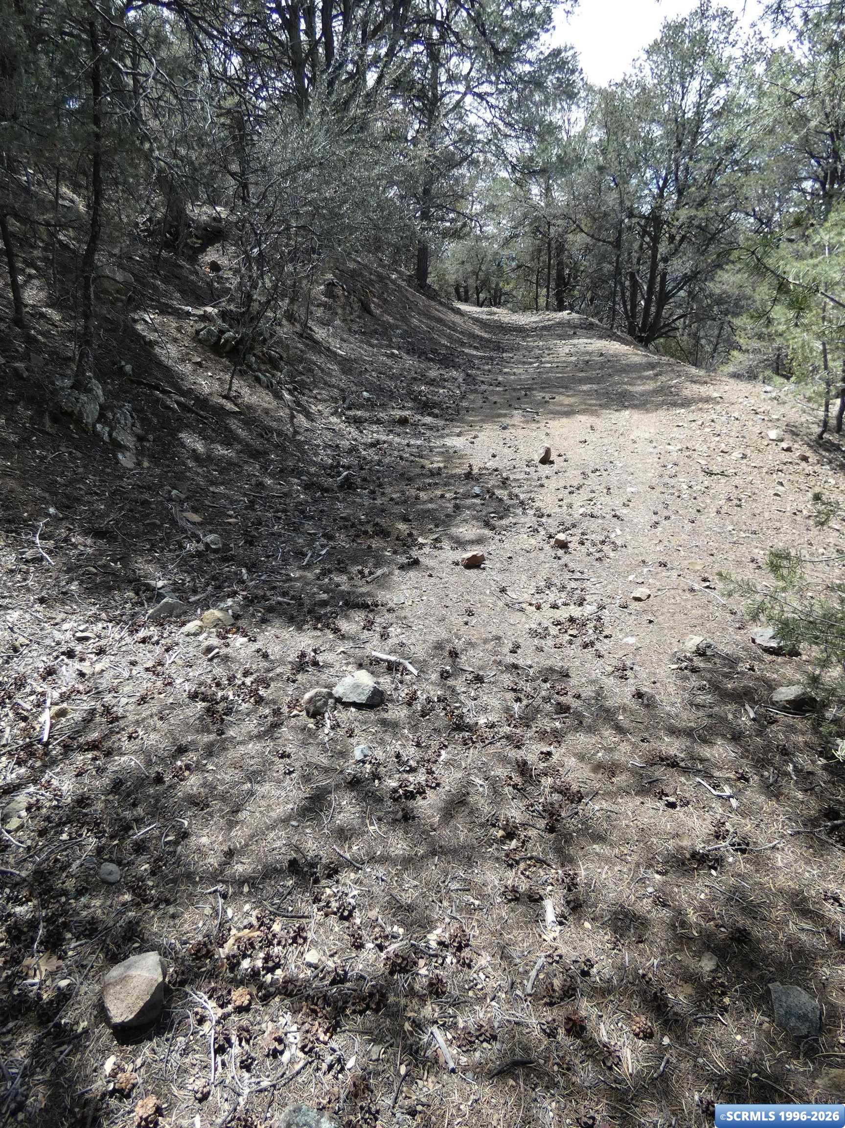 ## Radio Tower Road, photograph 9
