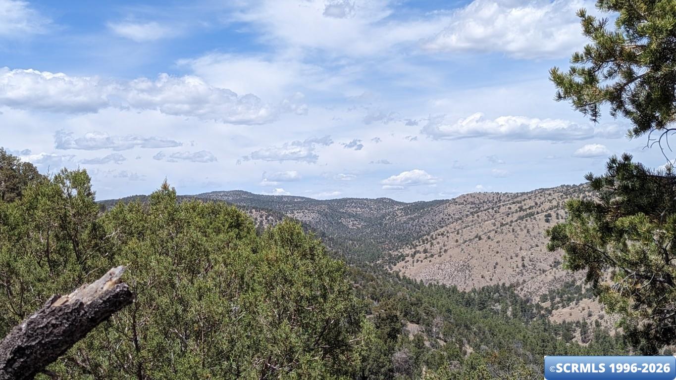 3515x Highway 35, photograph 2