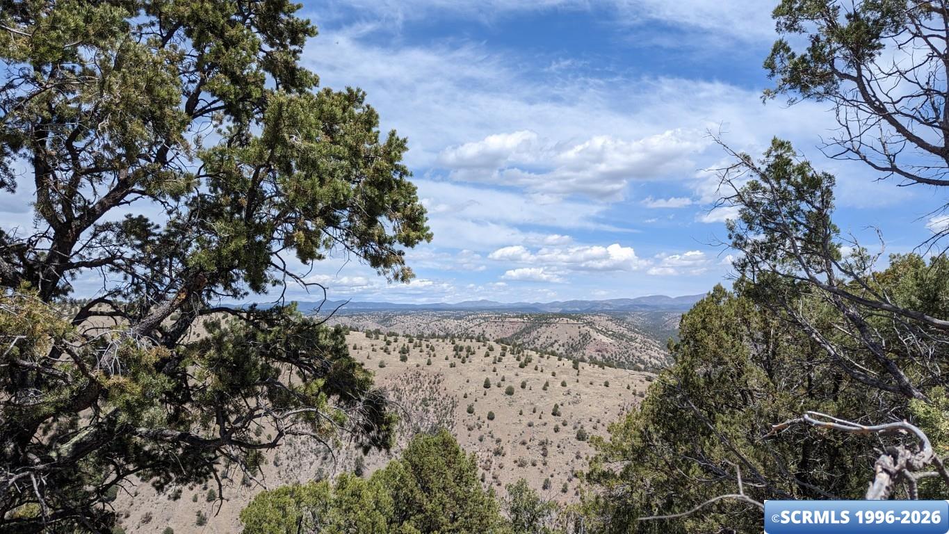 3515x Highway 35, photograph 3