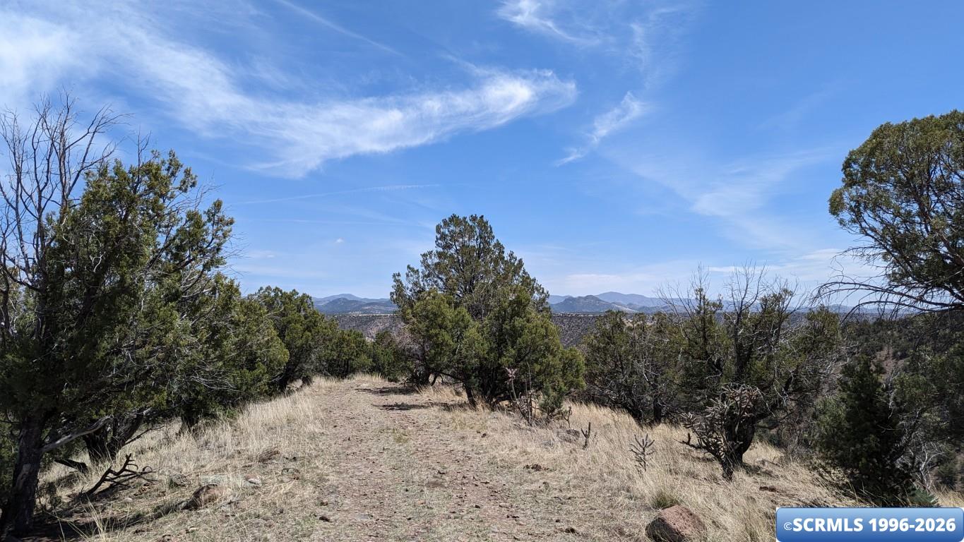 3515x Highway 35, photograph 4
