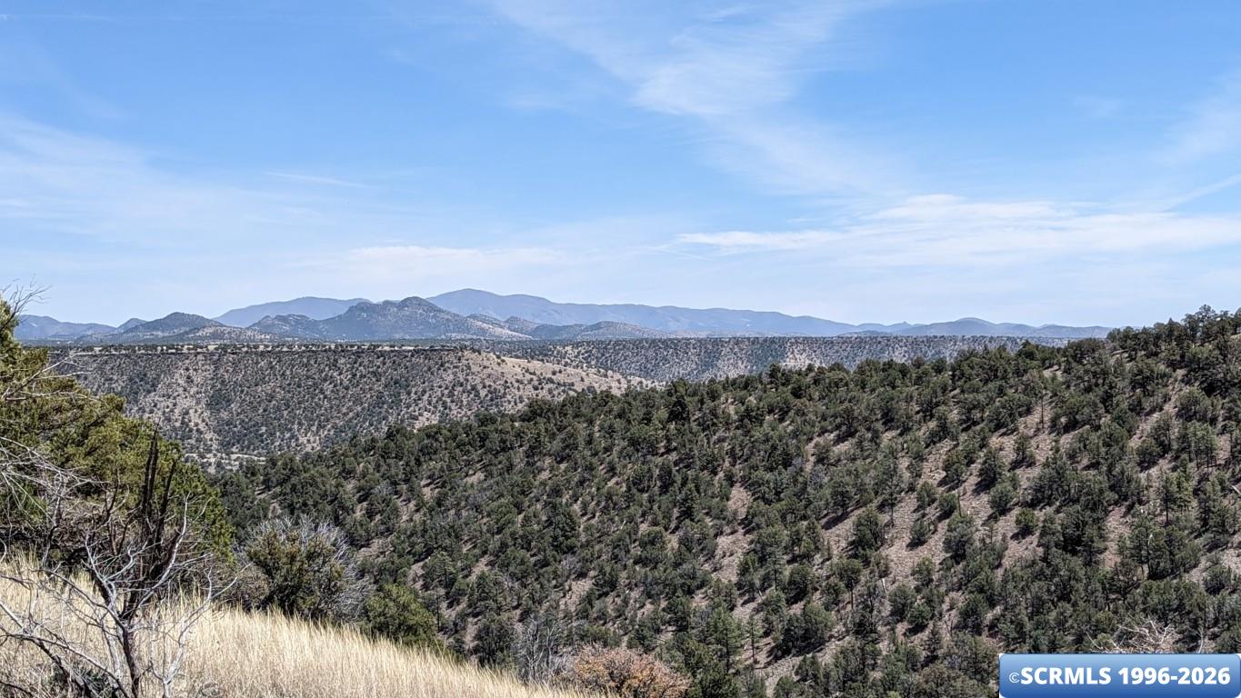 3515x Highway 35, photograph 5