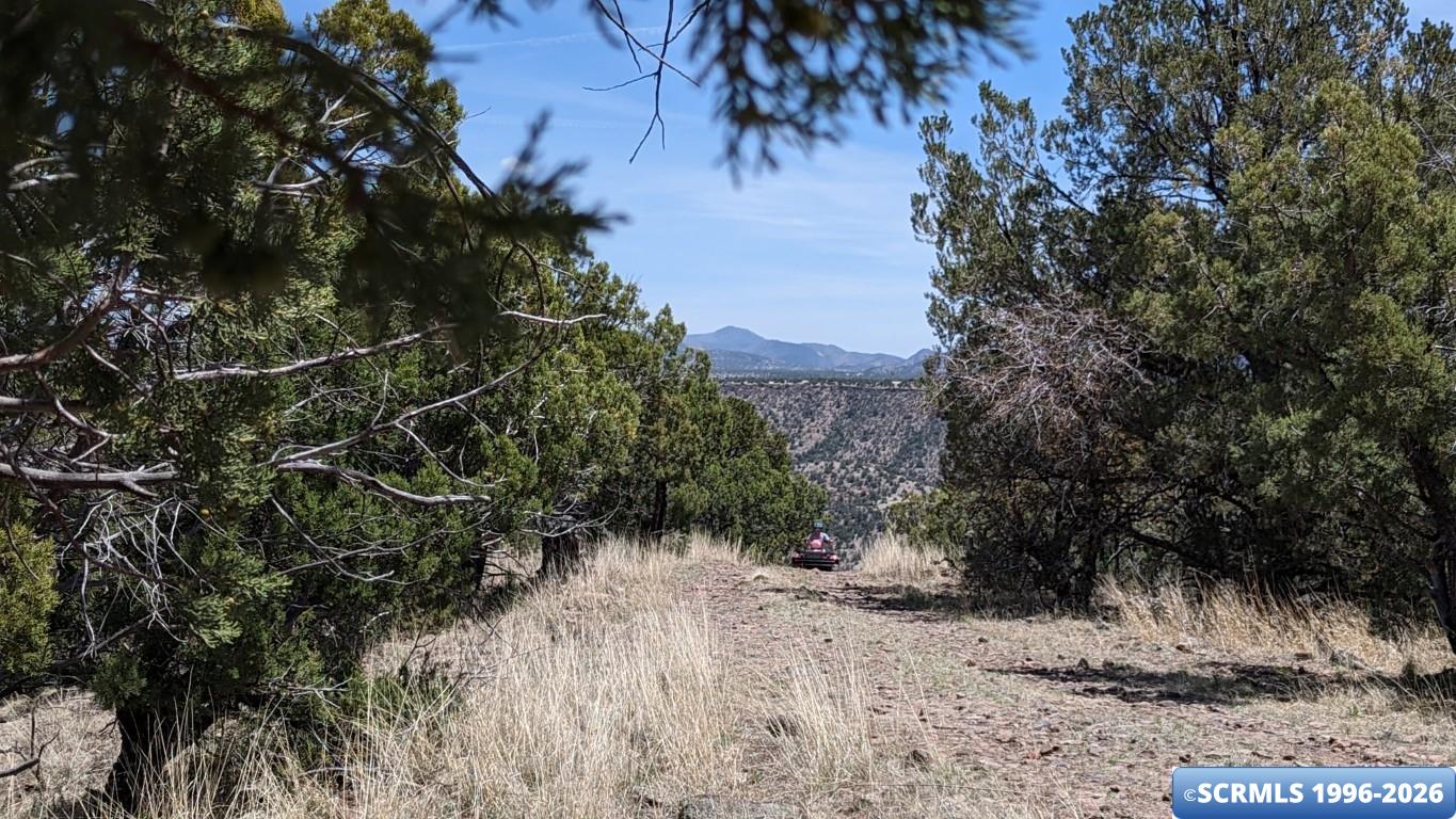3515x Highway 35, photograph 6