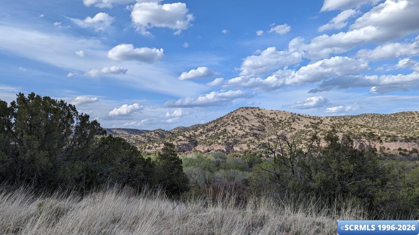 3515x Highway 35, photograph 13