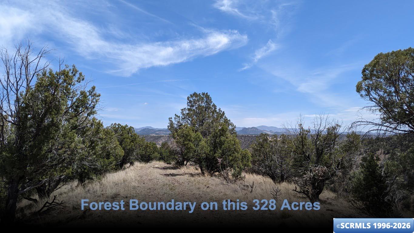3515x Highway 35, photograph 18