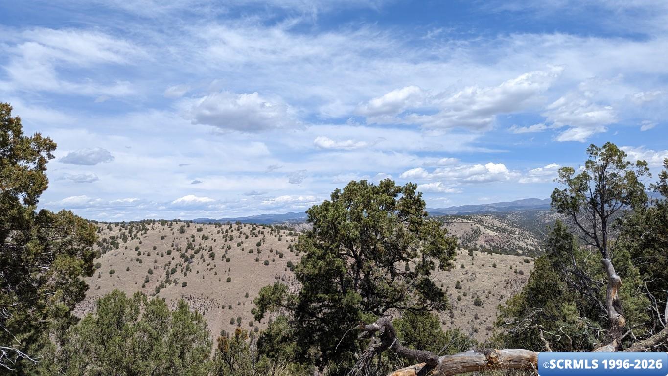 3515x Highway 35, photograph 8