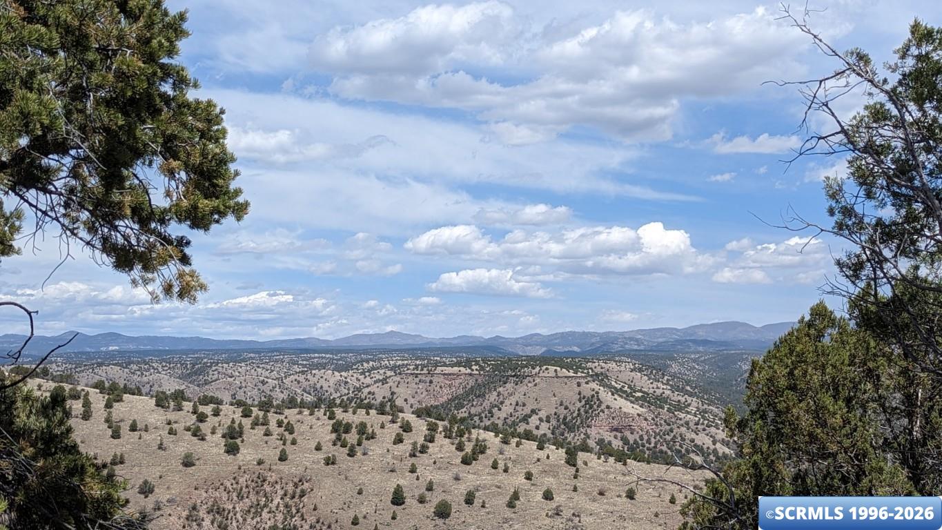 3515x Highway 35, photograph 9