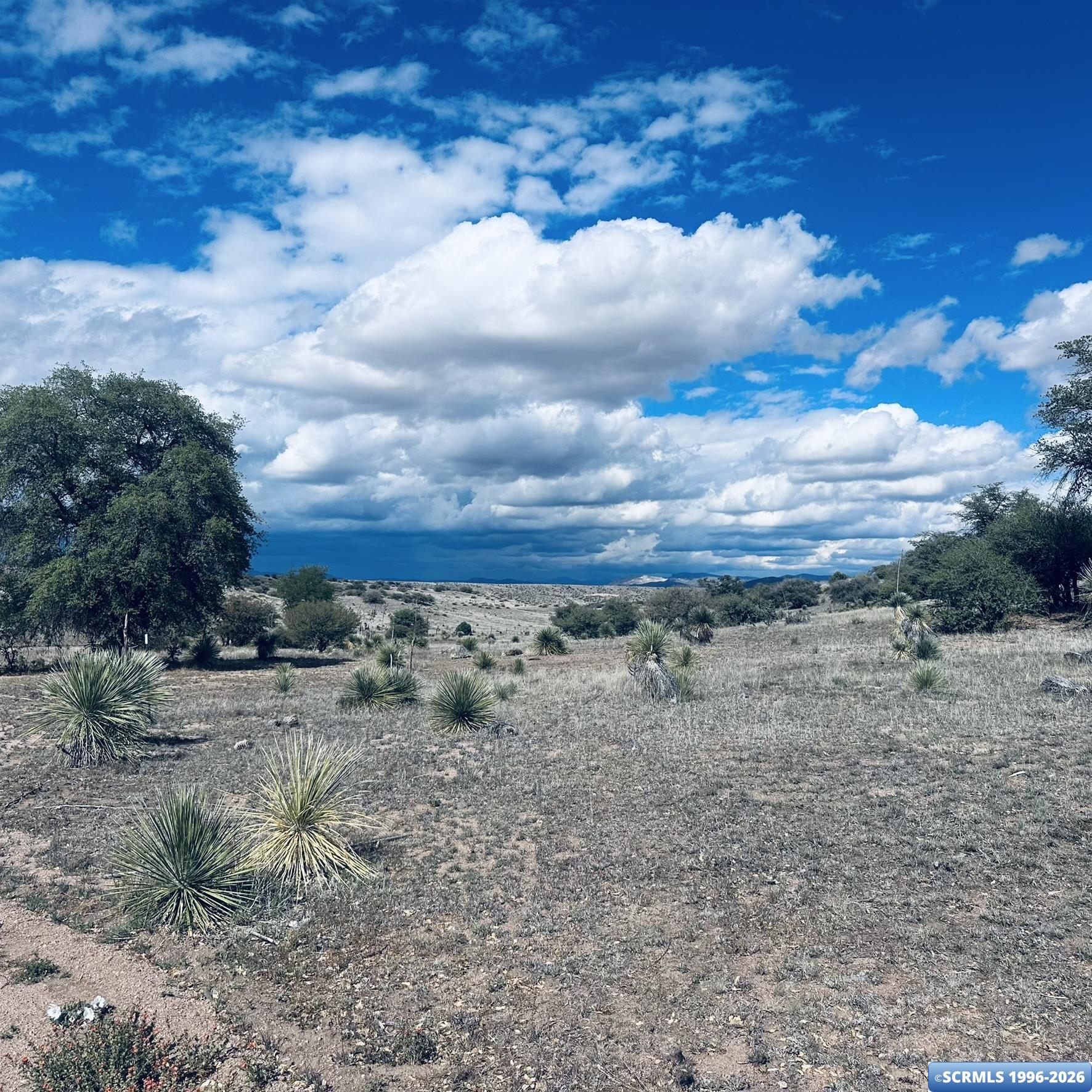 250 Salars Road, photograph 14