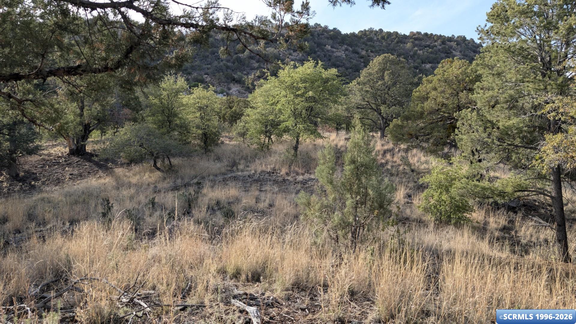 46 Enchanted Trail, photograph 5