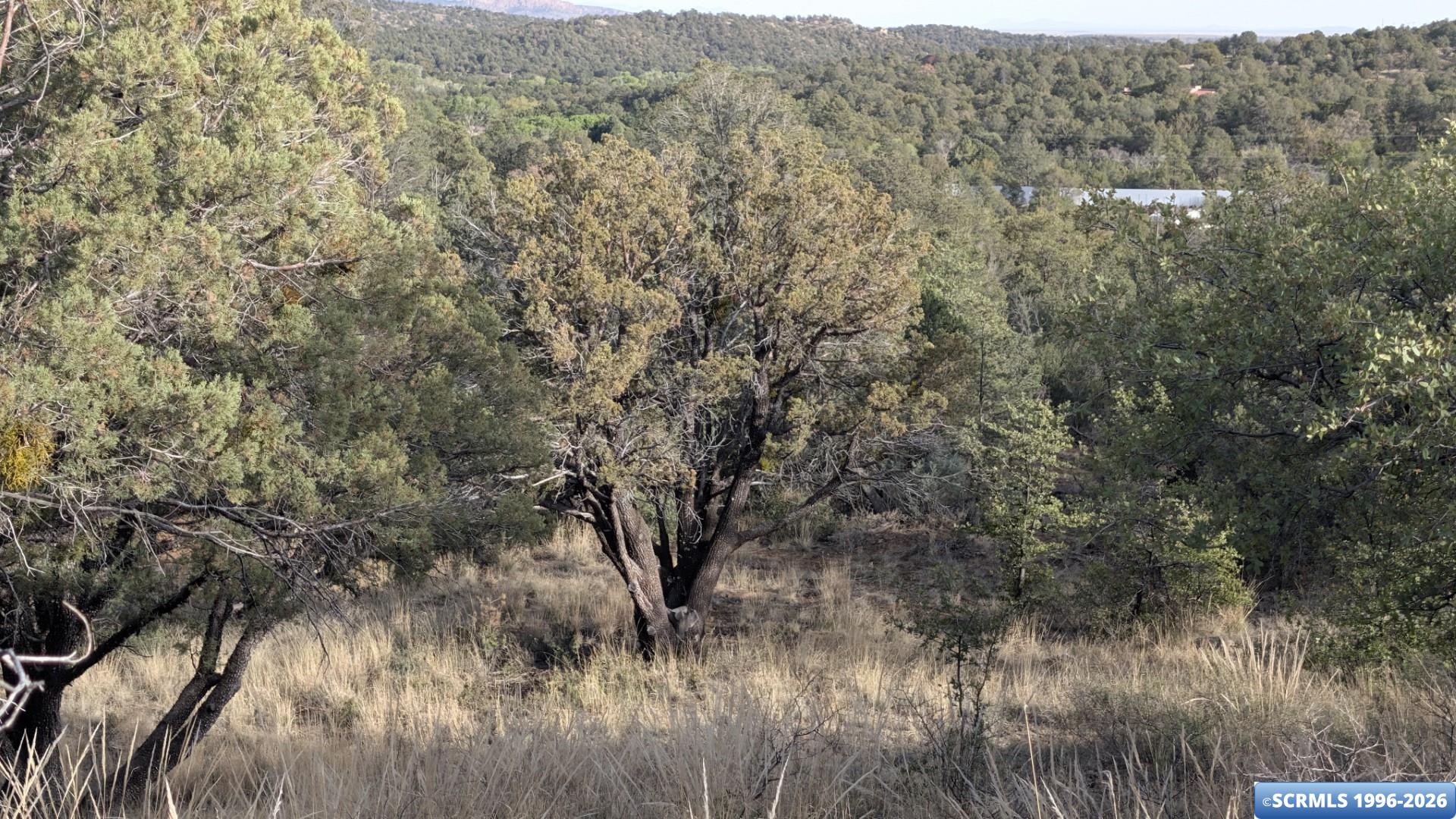 46 Enchanted Trail, photograph 6
