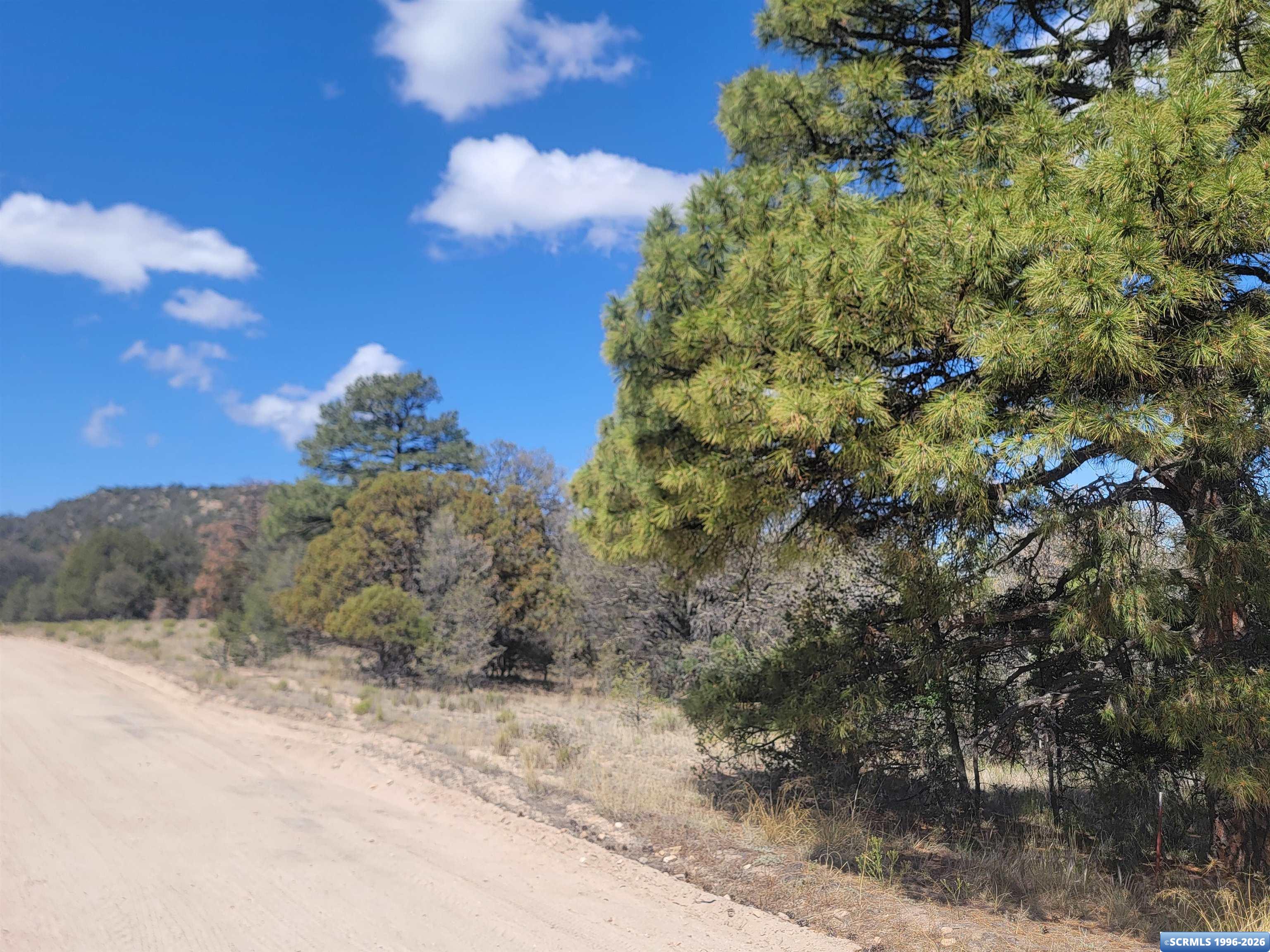 XX Tyrone Thompson Road, Silver City