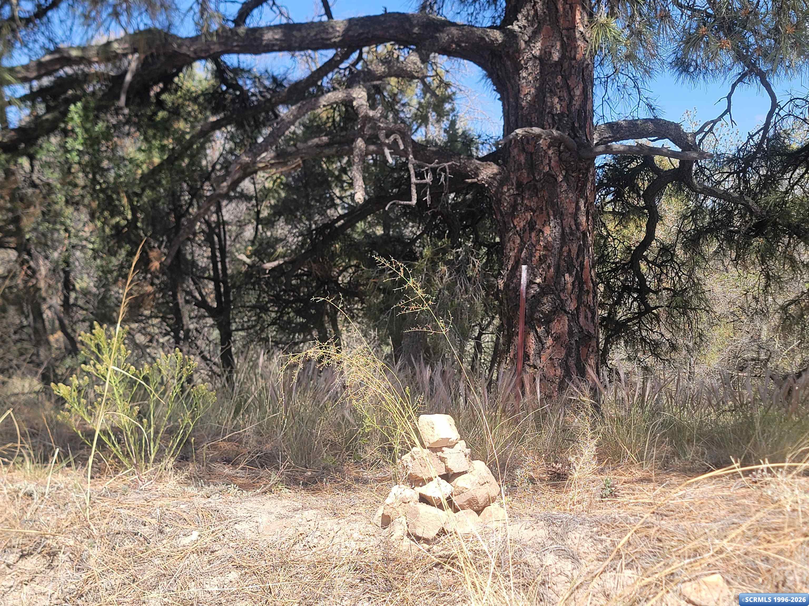 XX Tyrone Thompson Road, photograph 2