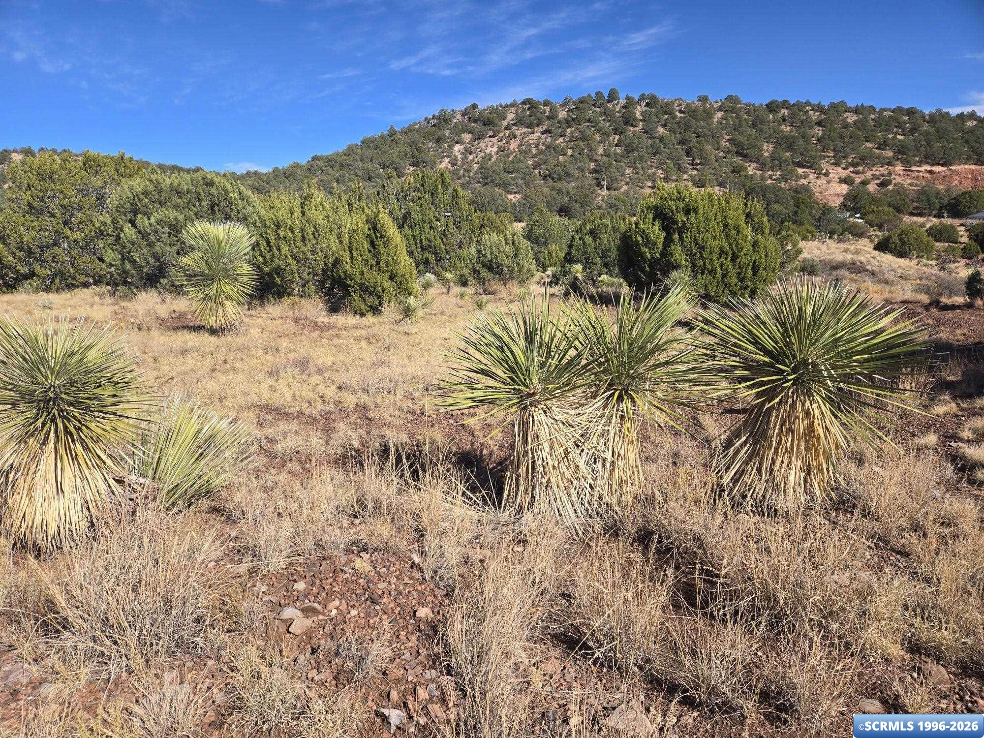 20 Dewey Avenue, Silver City