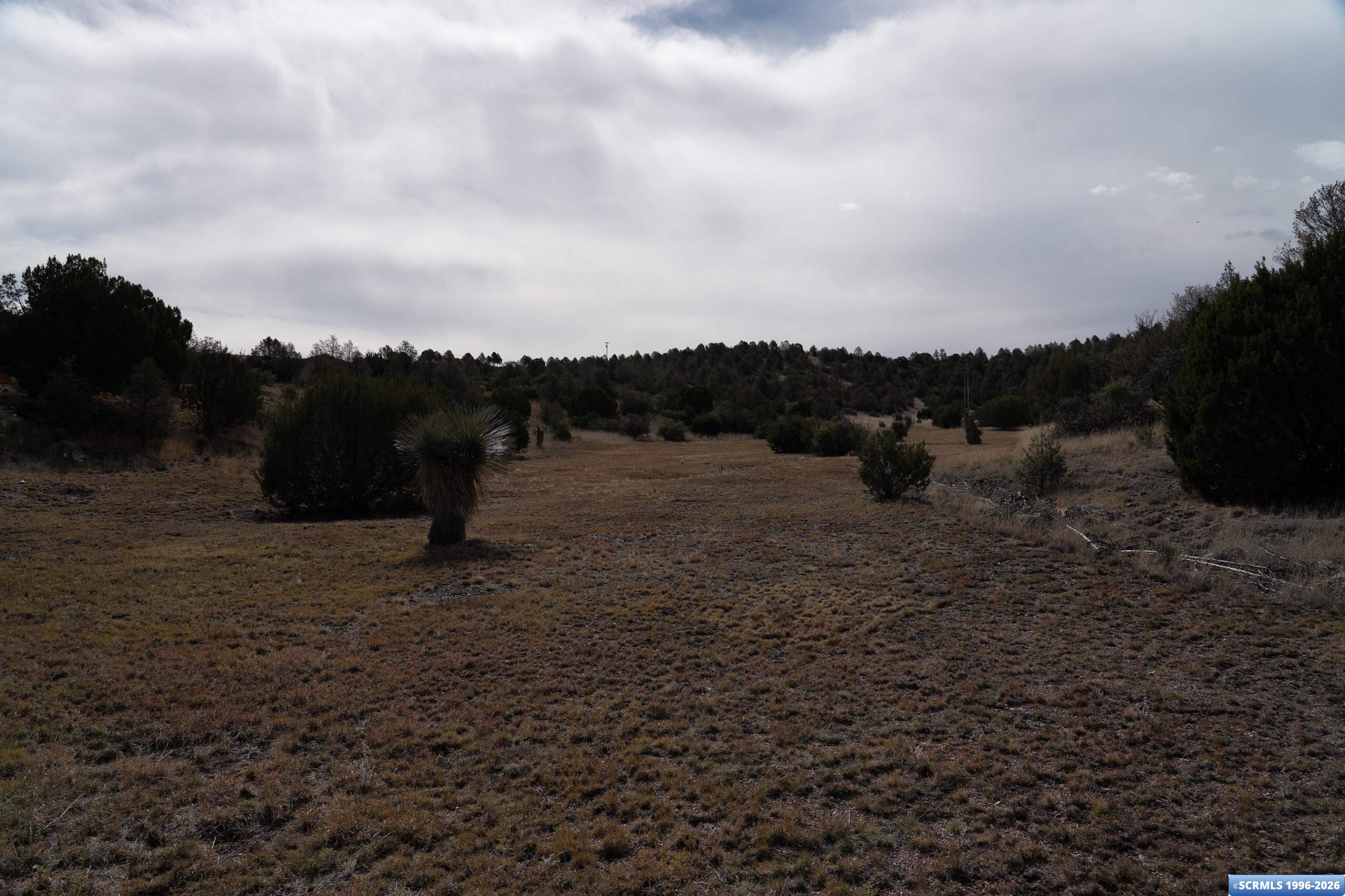 44 Wind Canyon Road, photograph 18