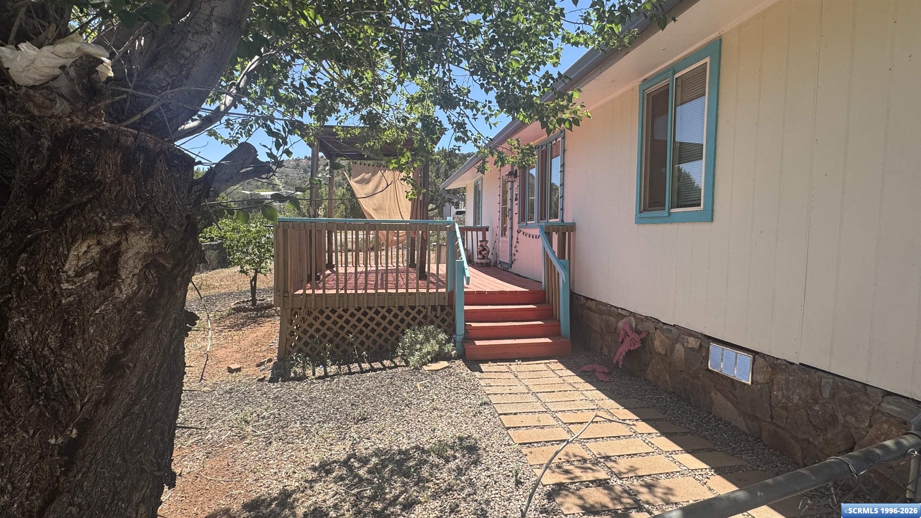 157 Sandalwood, photograph 4