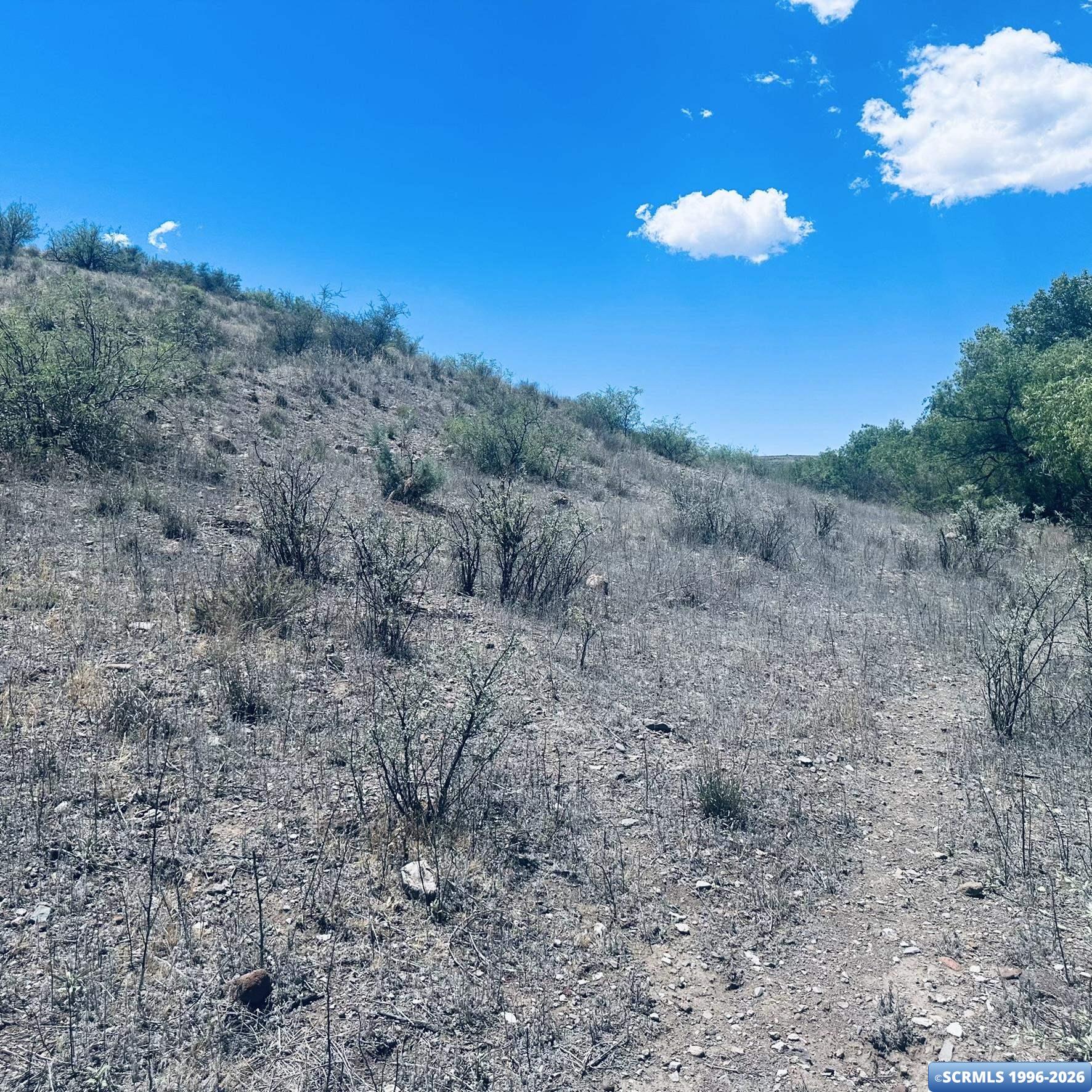 Lot 17 Mogollon Vista Estates, photograph 9