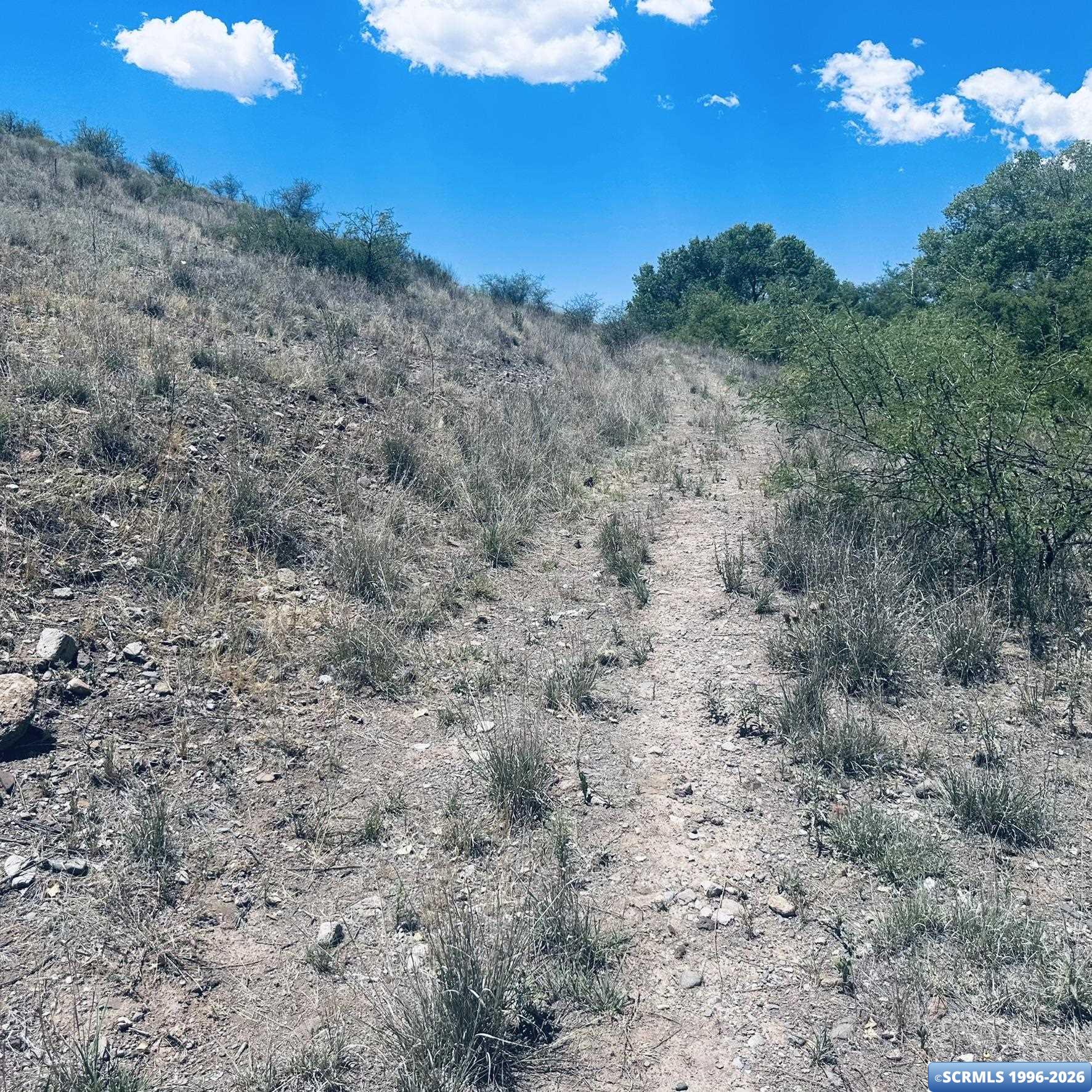 Lot 17 Mogollon Vista Estates, photograph 10