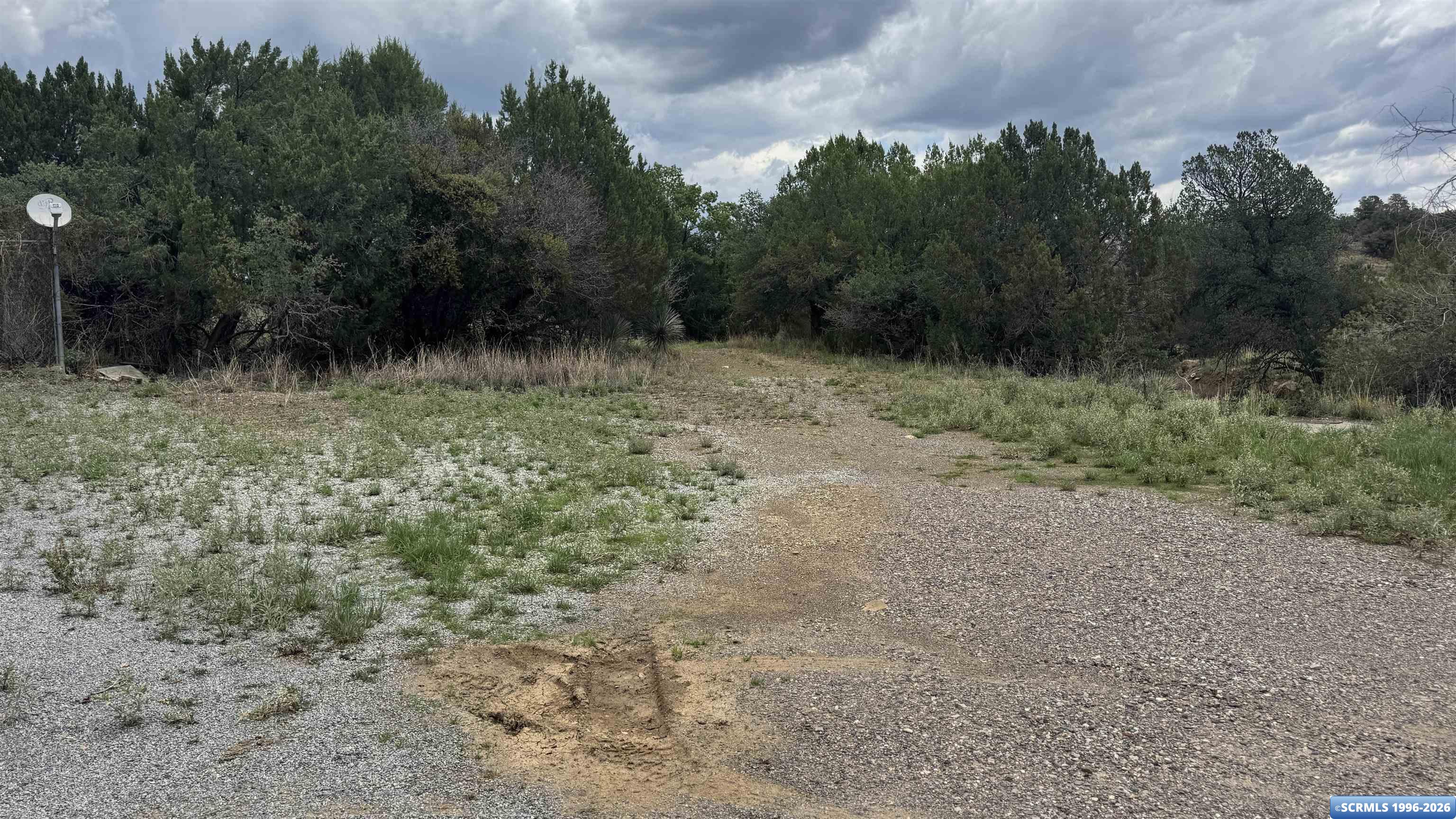 2005 Trapper, photograph 2