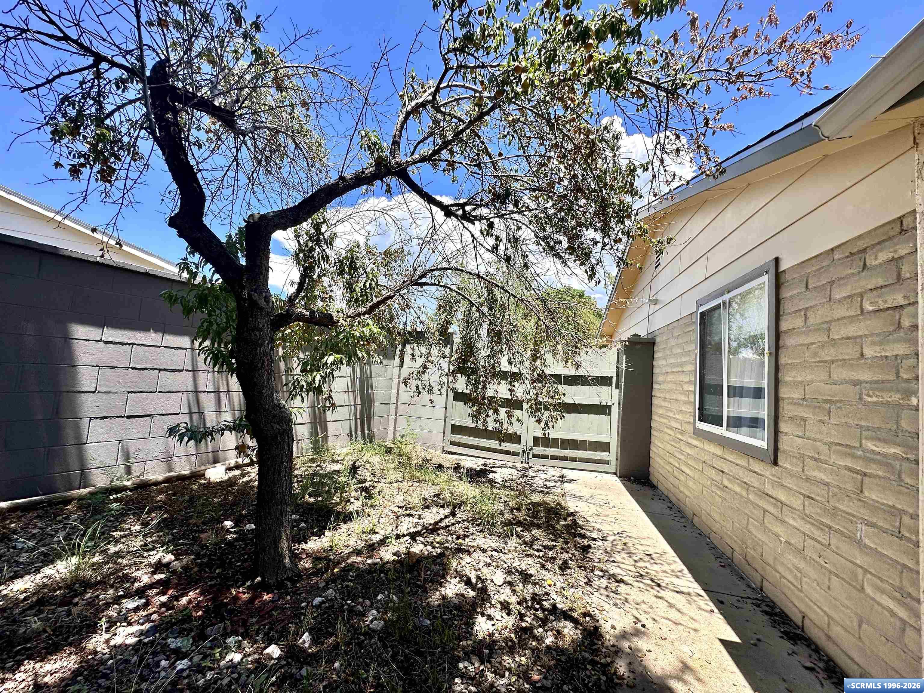 119 Chalcopyrite Court, photograph 19