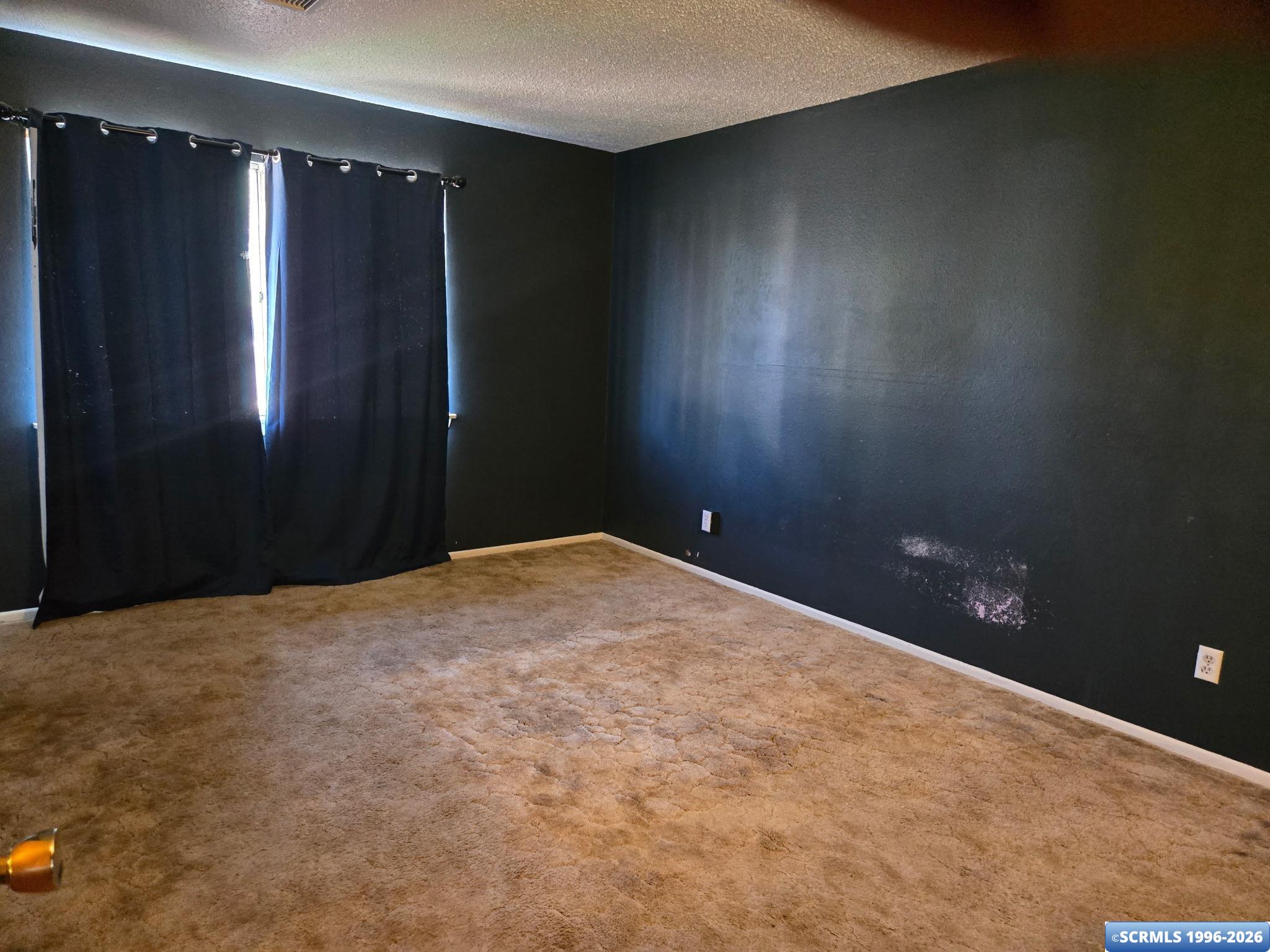 1312 Pine Street, photograph 11