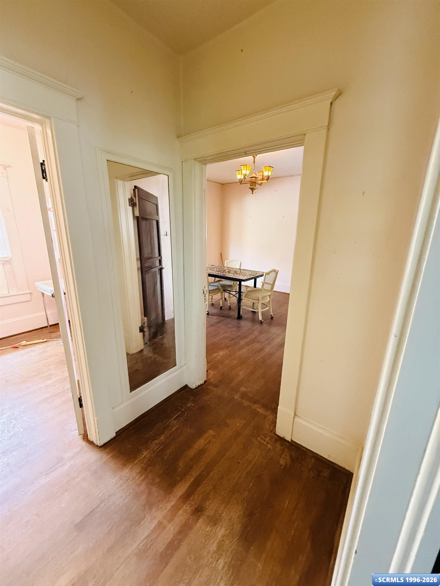 15 Jasper, photograph 21