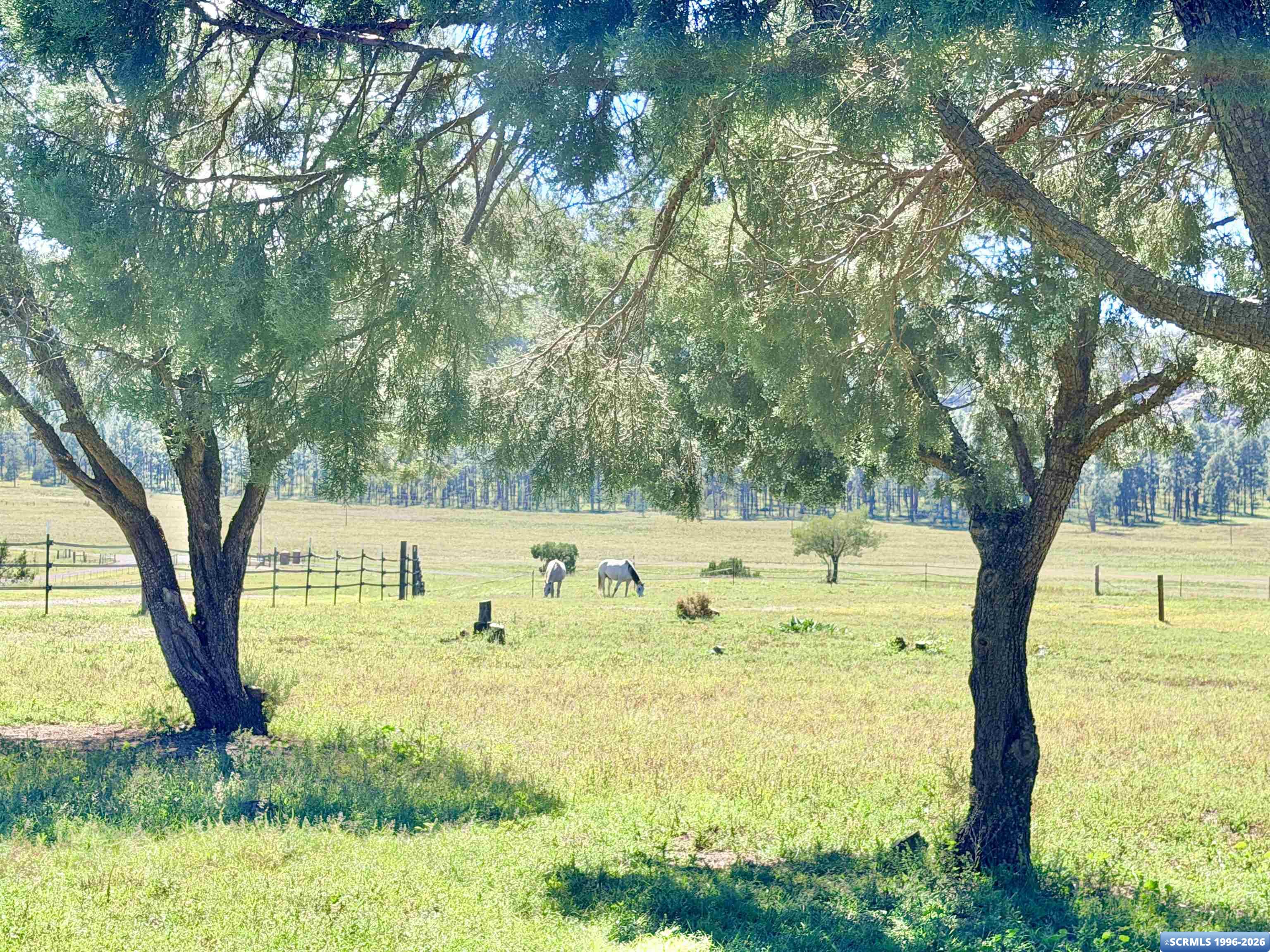 56 Elk Trail, photograph 43