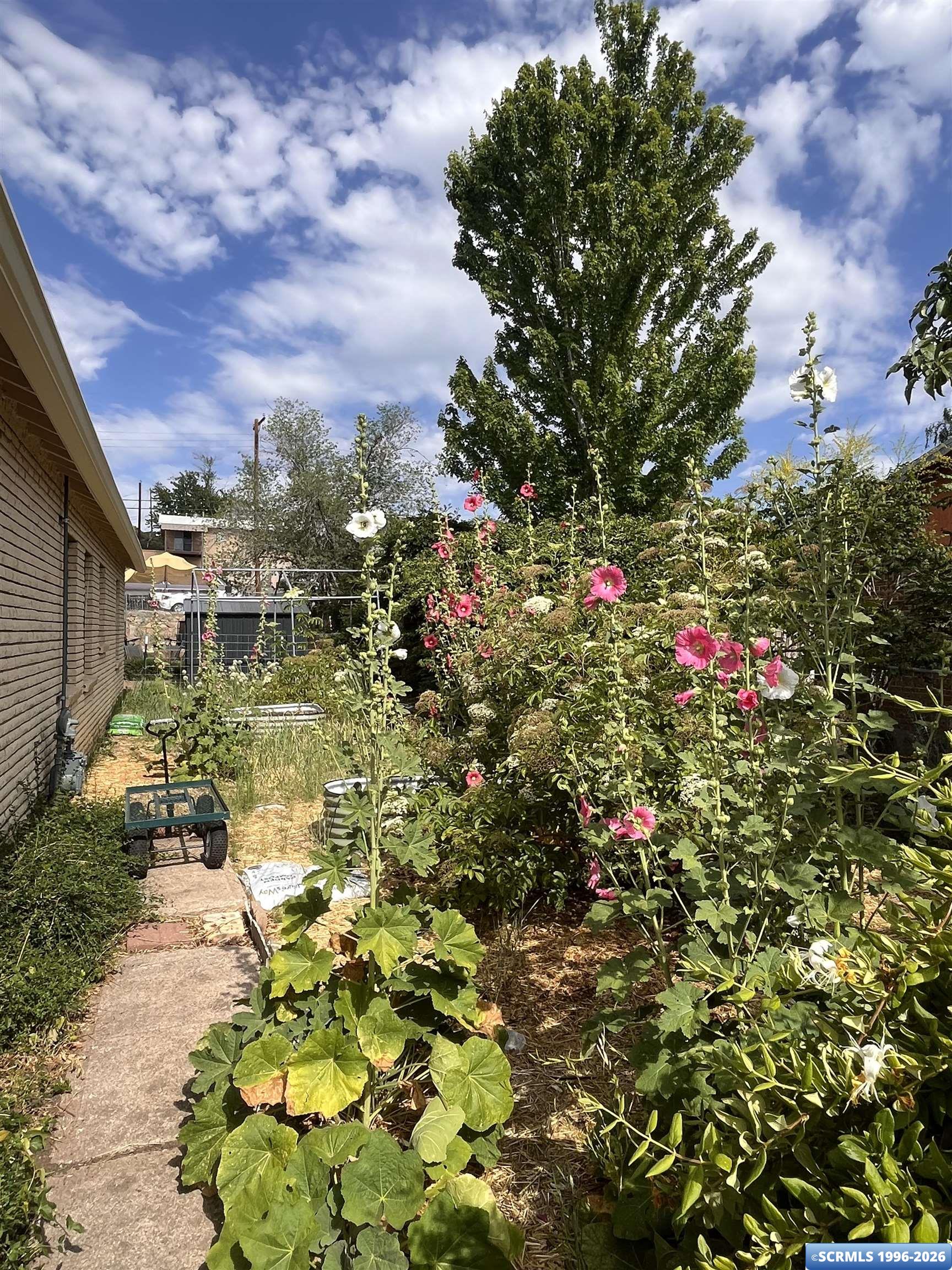 2117 N Yucca Drive, photograph 23